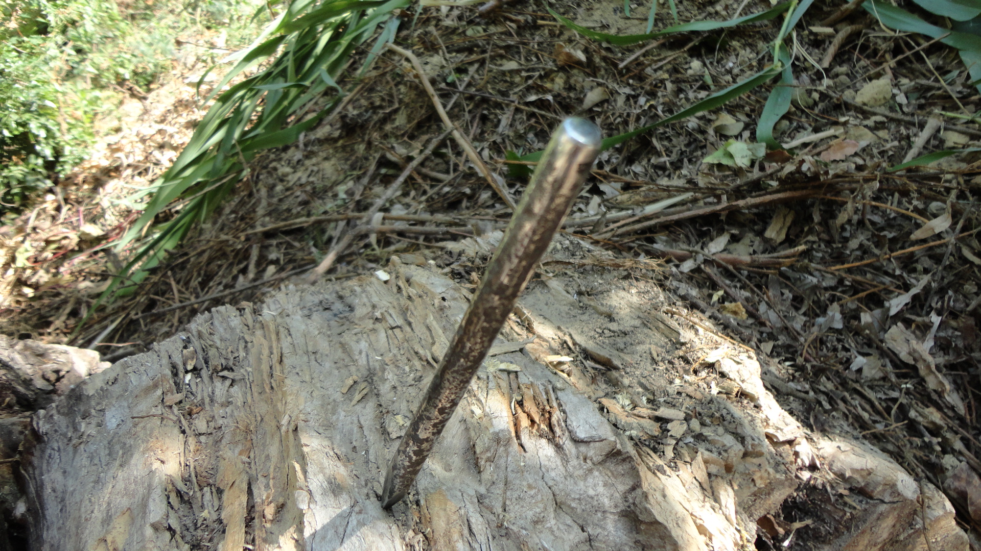 DSC01021.JPG