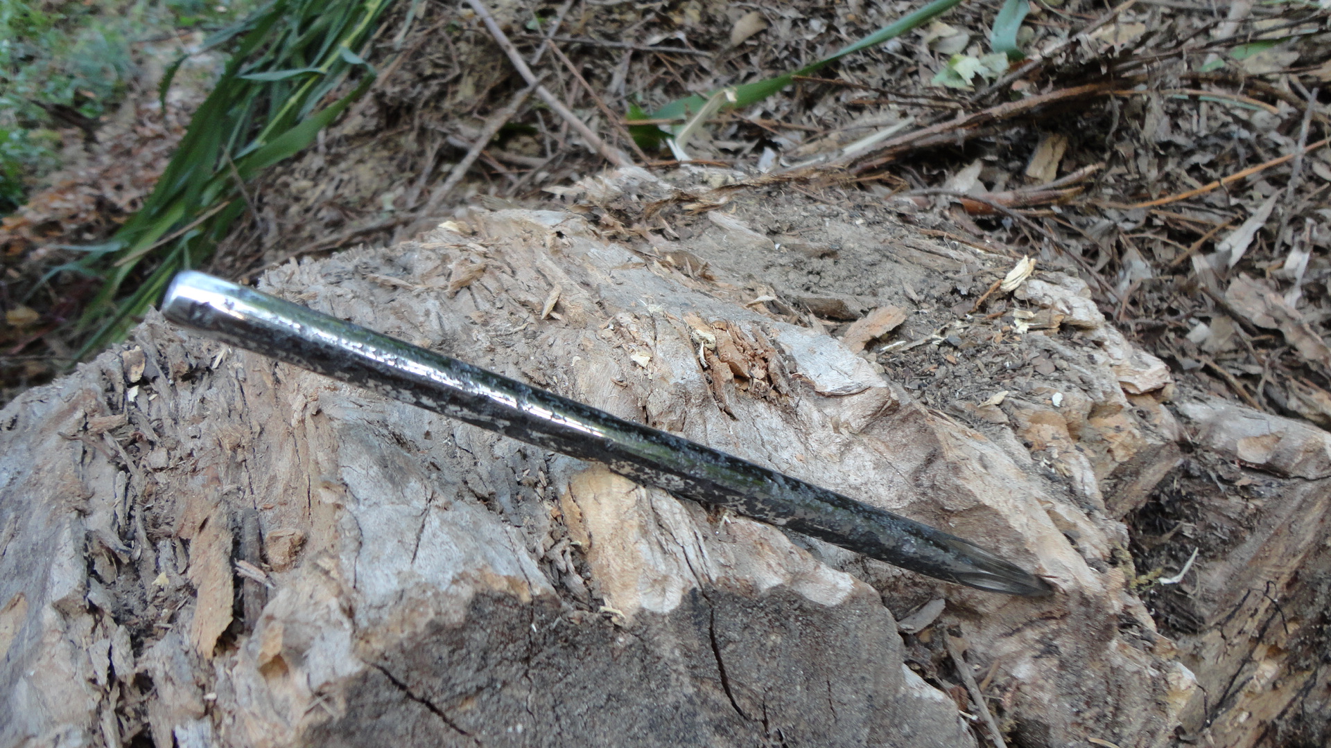 DSC01034.JPG