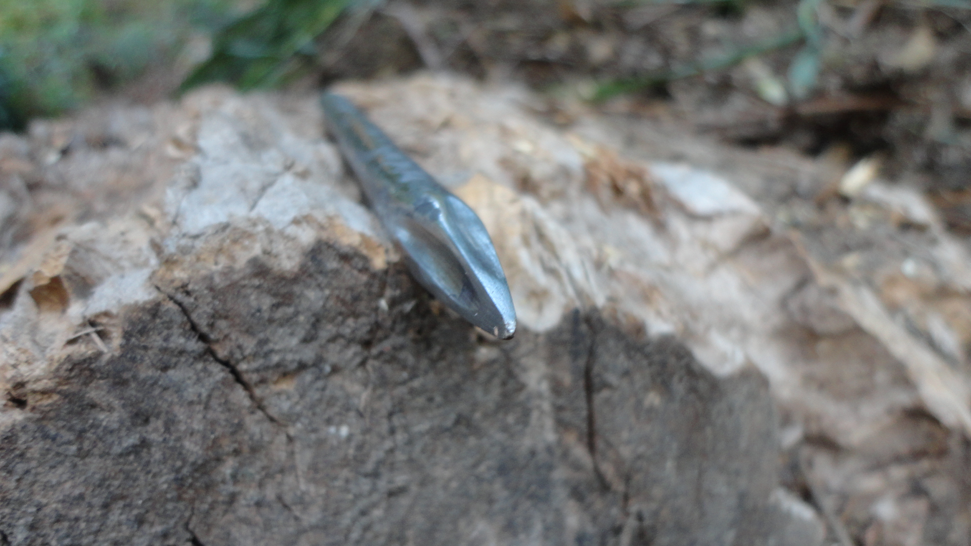 DSC01037.JPG