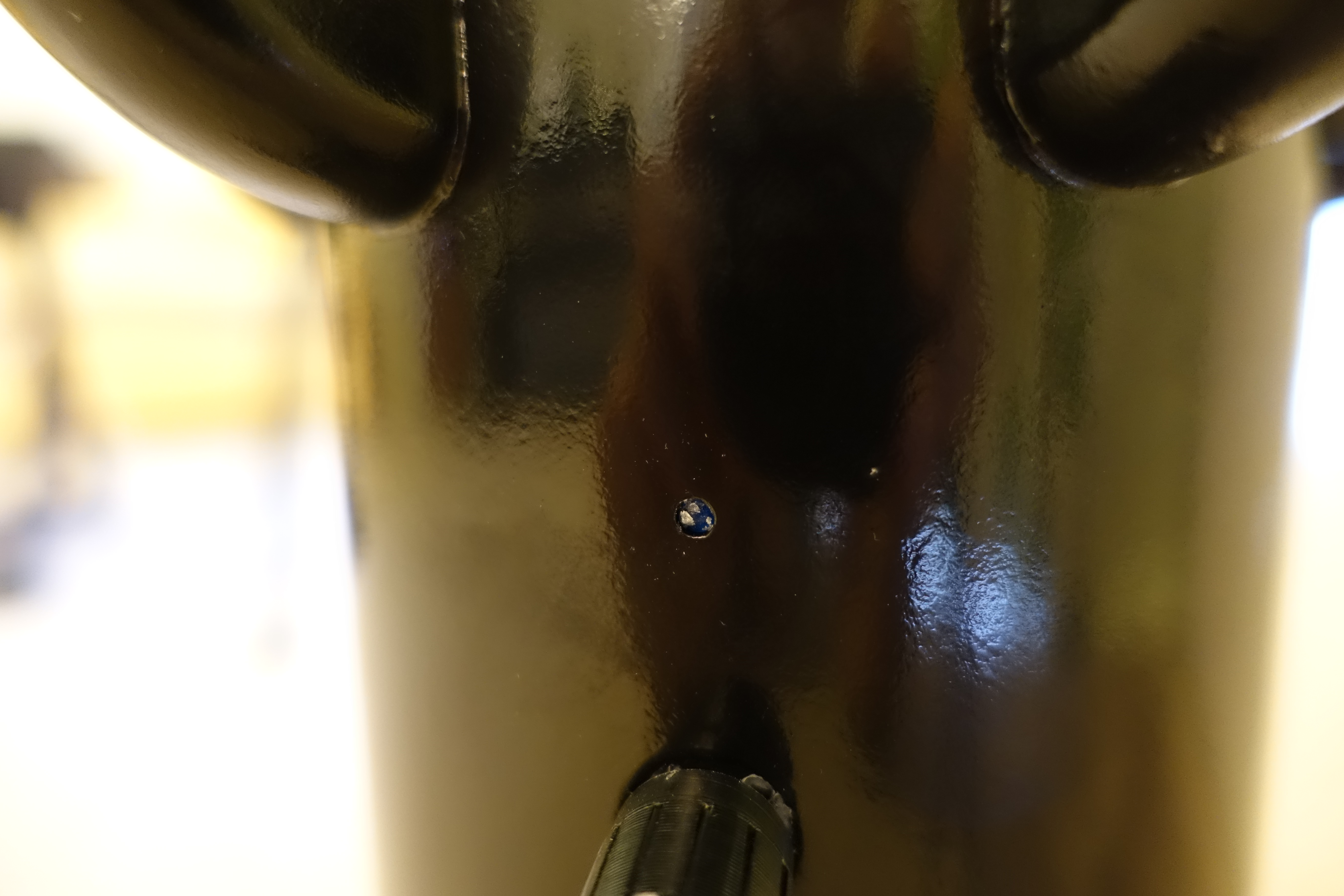 DSC01535.JPG