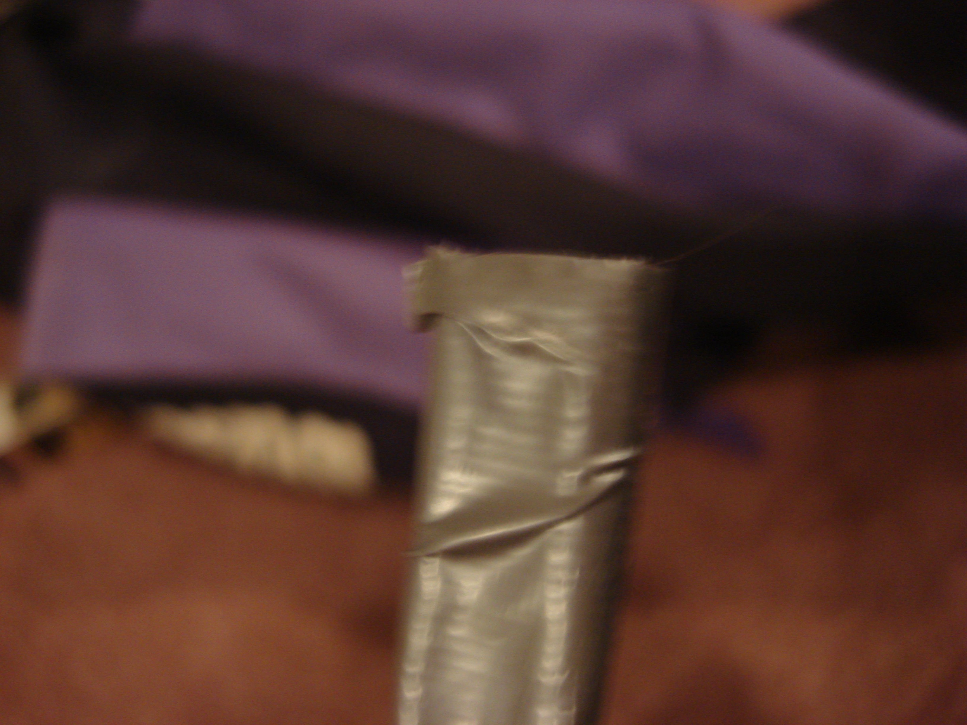 DSC01545.JPG