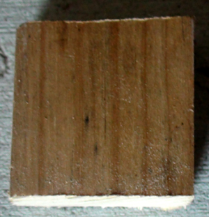 DSC01679.JPG