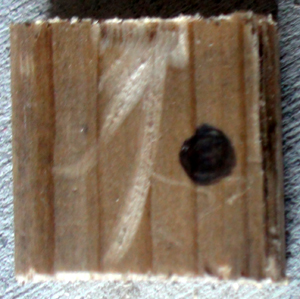 DSC01683.JPG