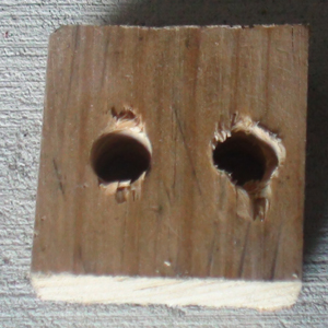 DSC01684.JPG
