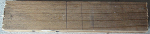 DSC01687.JPG