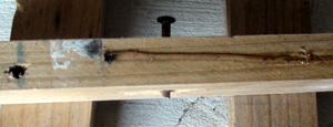DSC01691.JPG