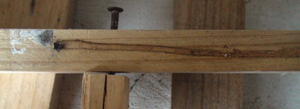 DSC01692.JPG