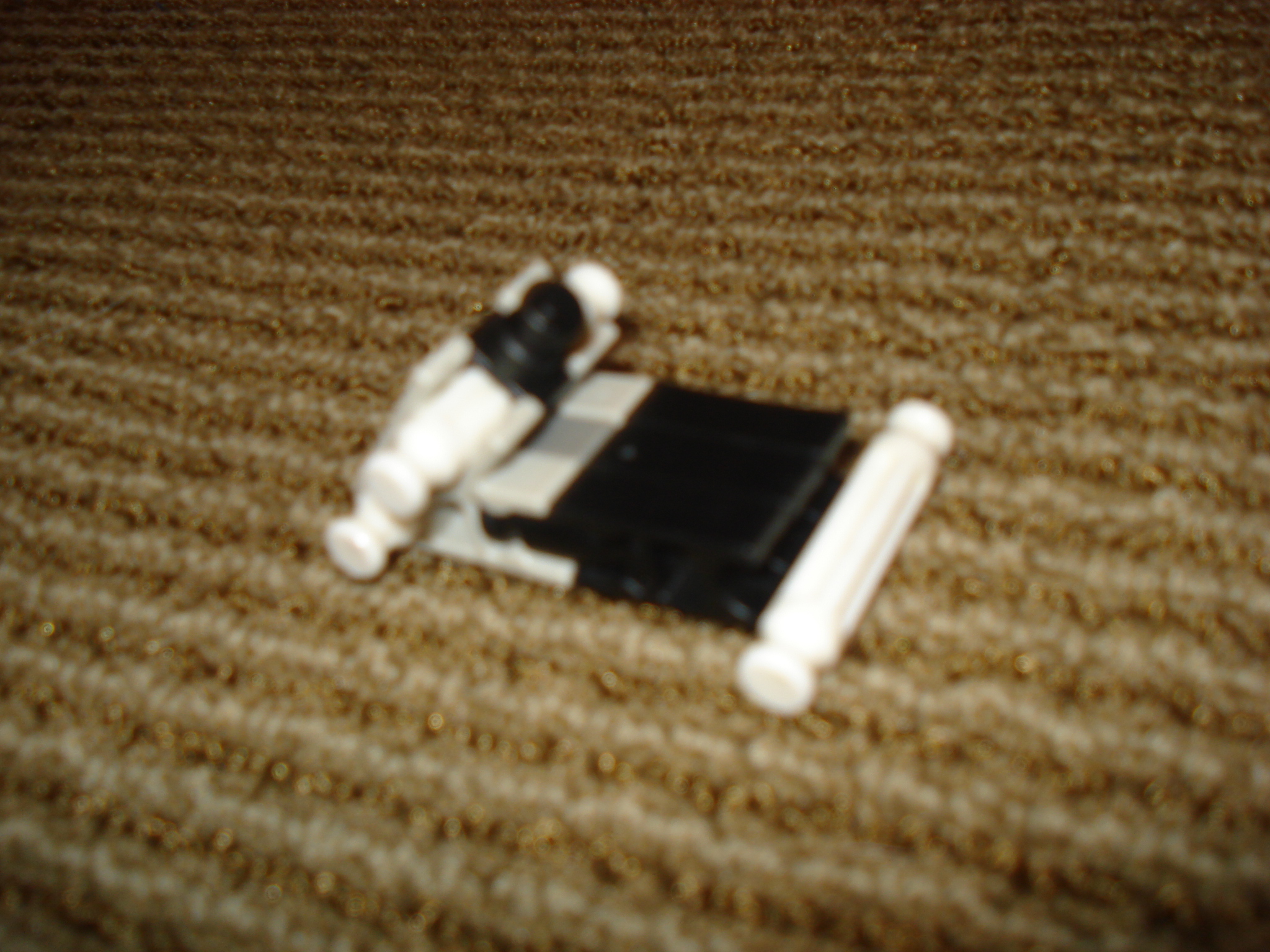 DSC01781.JPG