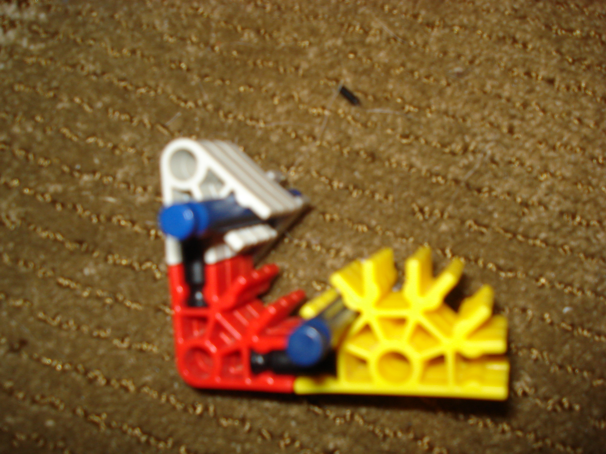 DSC01783.JPG