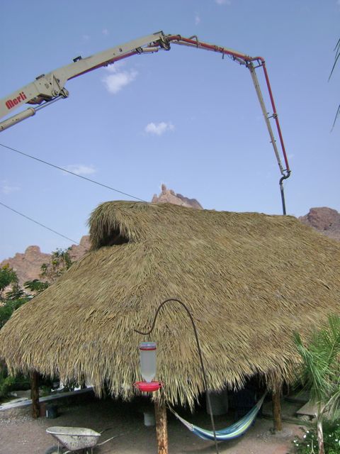 DSC01898.jpg