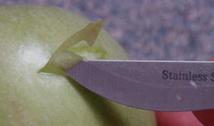 DSC02029.JPG