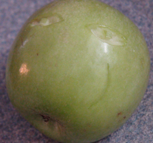 DSC02031.JPG