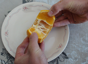 DSC02103.JPG