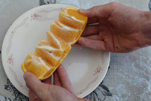 DSC02104.JPG