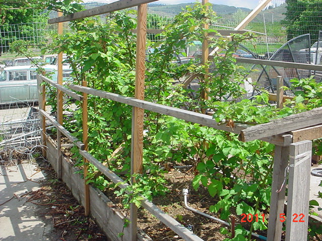 DSC02742.JPG