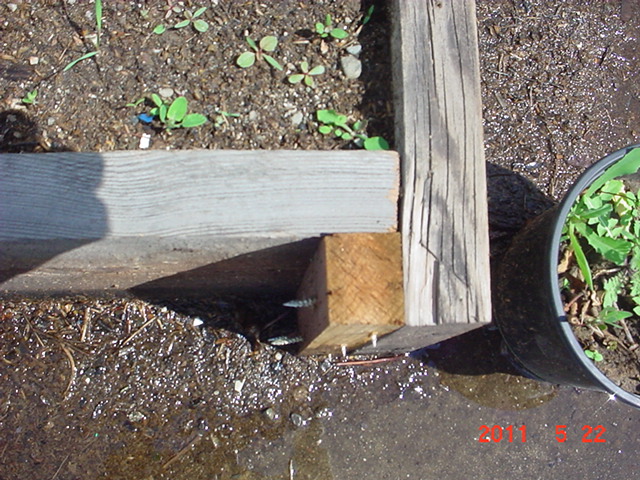 DSC02743.JPG