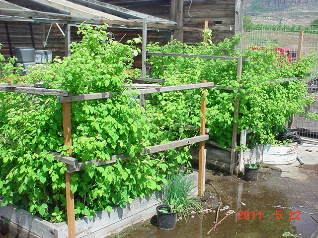 DSC02745.JPG