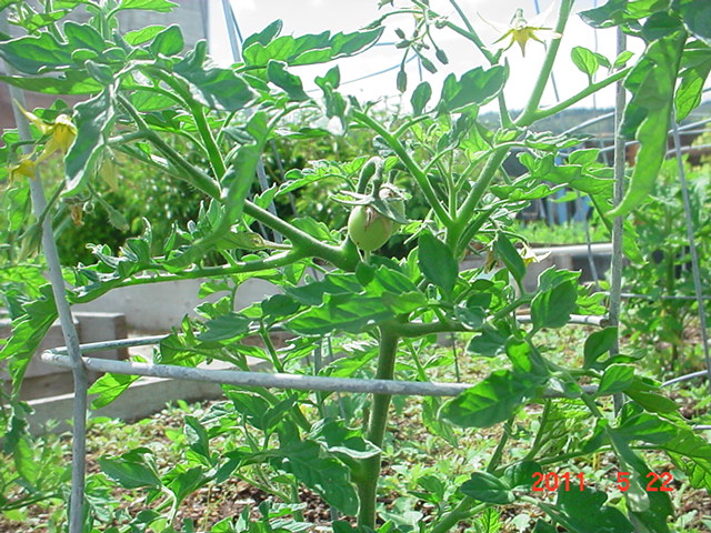 DSC02748.JPG