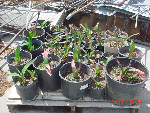 DSC02752.JPG