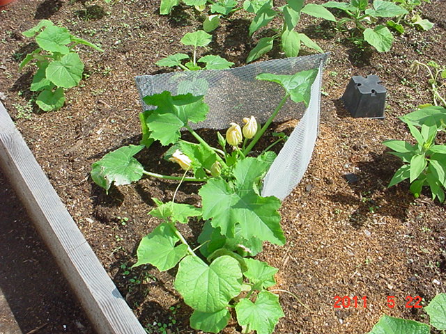 DSC02755.JPG
