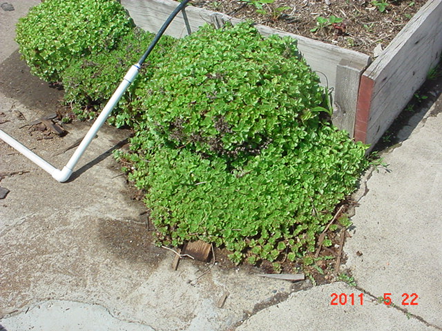 DSC02768.JPG