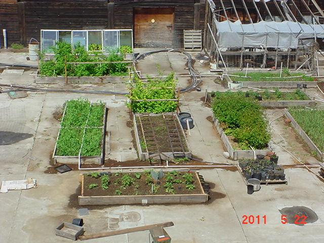 DSC02769.JPG