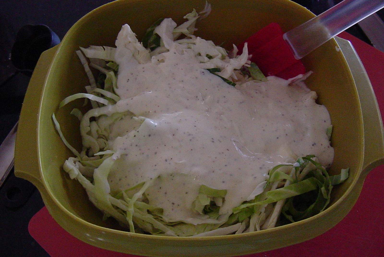 DSC03310.JPG