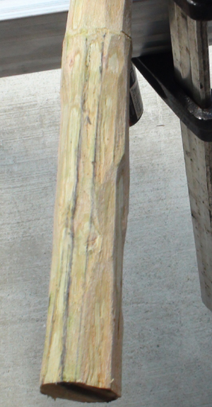 DSC03586.JPG