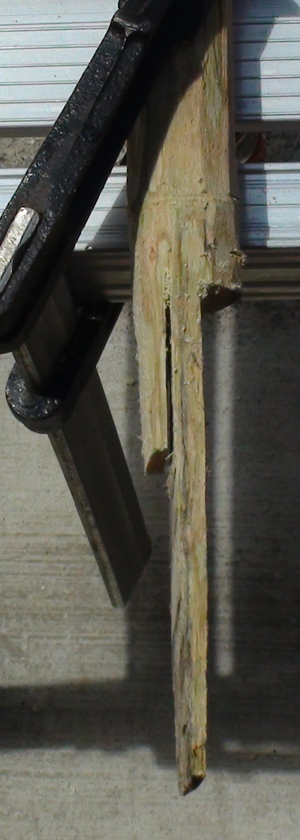 DSC03588.JPG
