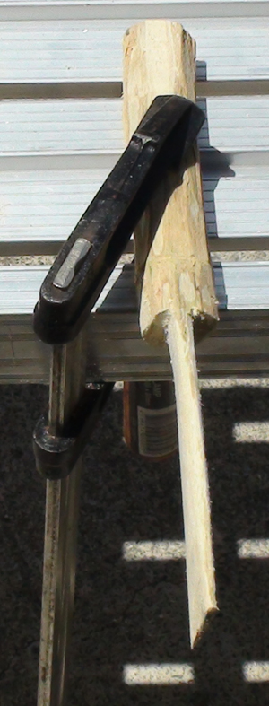 DSC03590.JPG