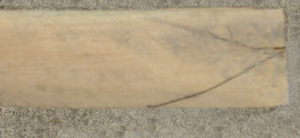 DSC03596.JPG