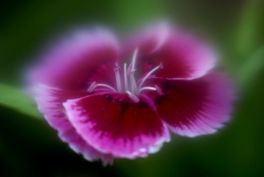 DSC03752sm.JPG