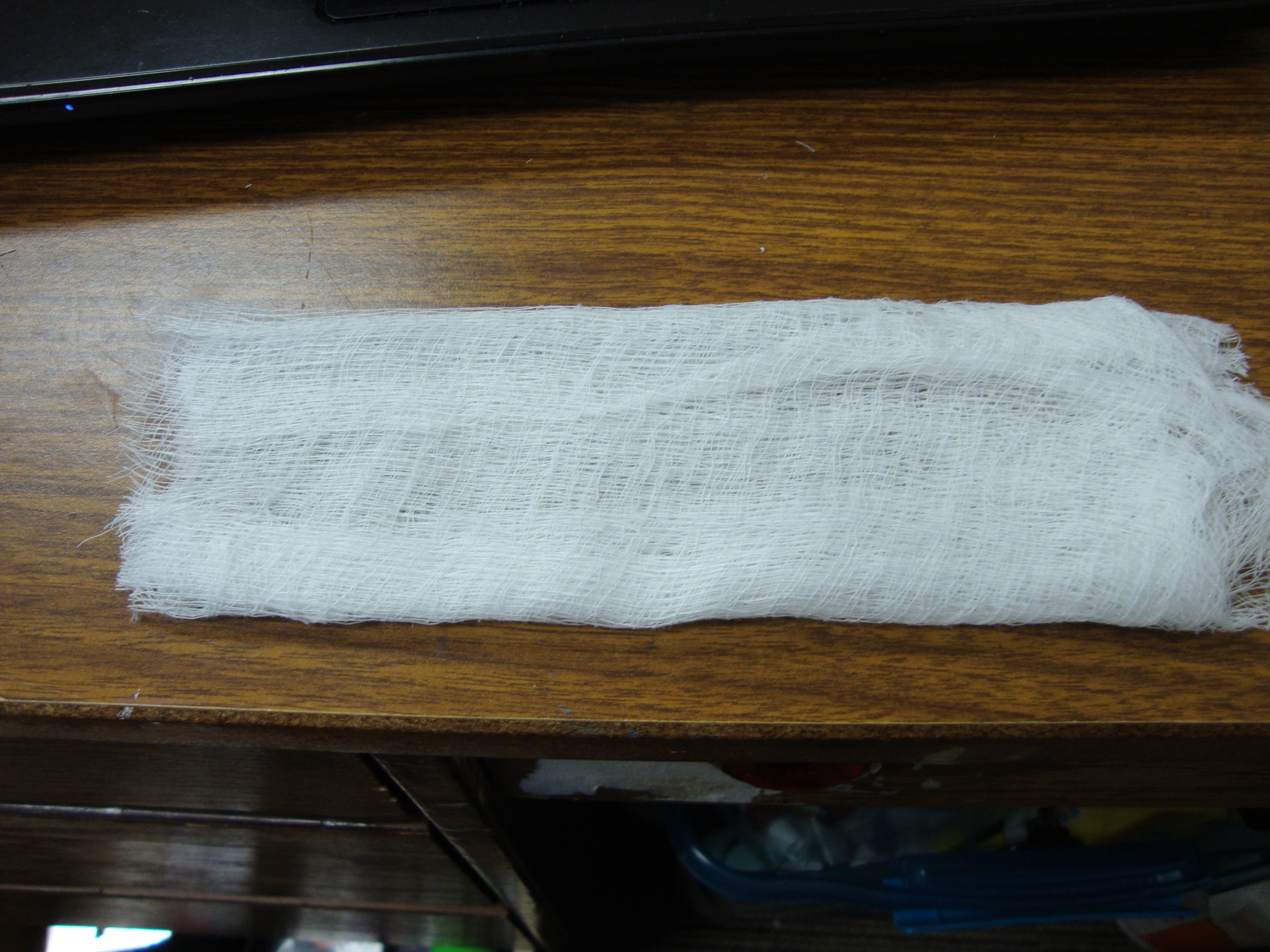DSC04295.JPG