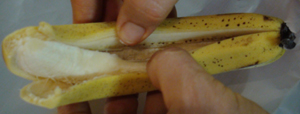 DSC05762.JPG
