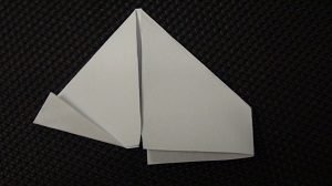 DSC06259.JPG