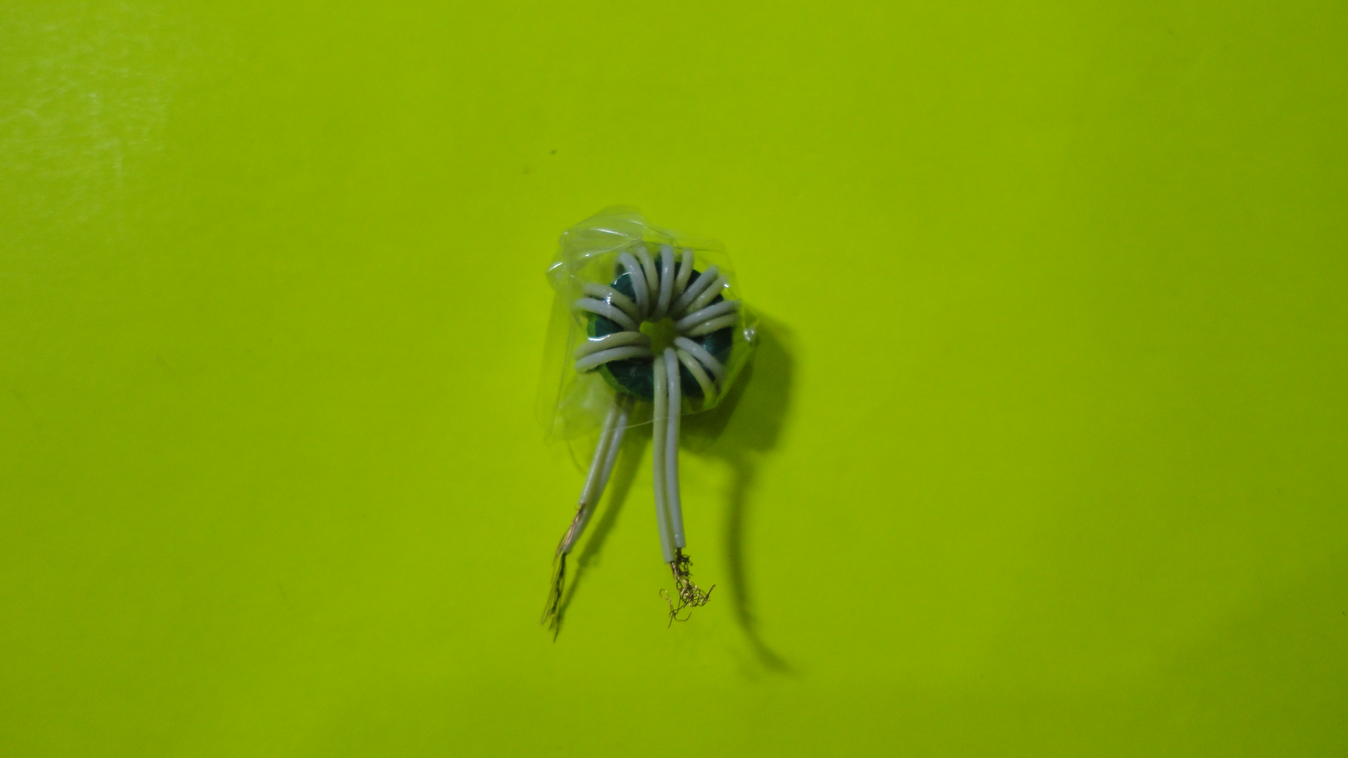 DSC06480.JPG