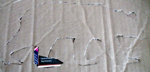 DSC07401.JPG