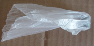 DSC08328.JPG