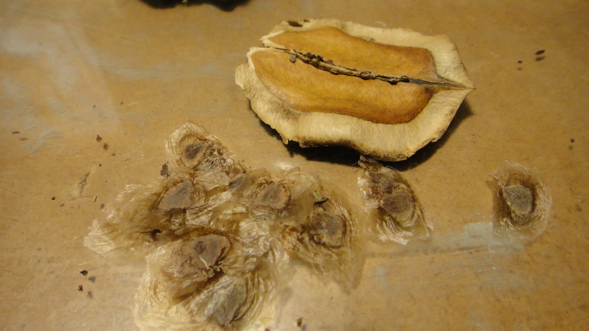 DSC08460.JPG