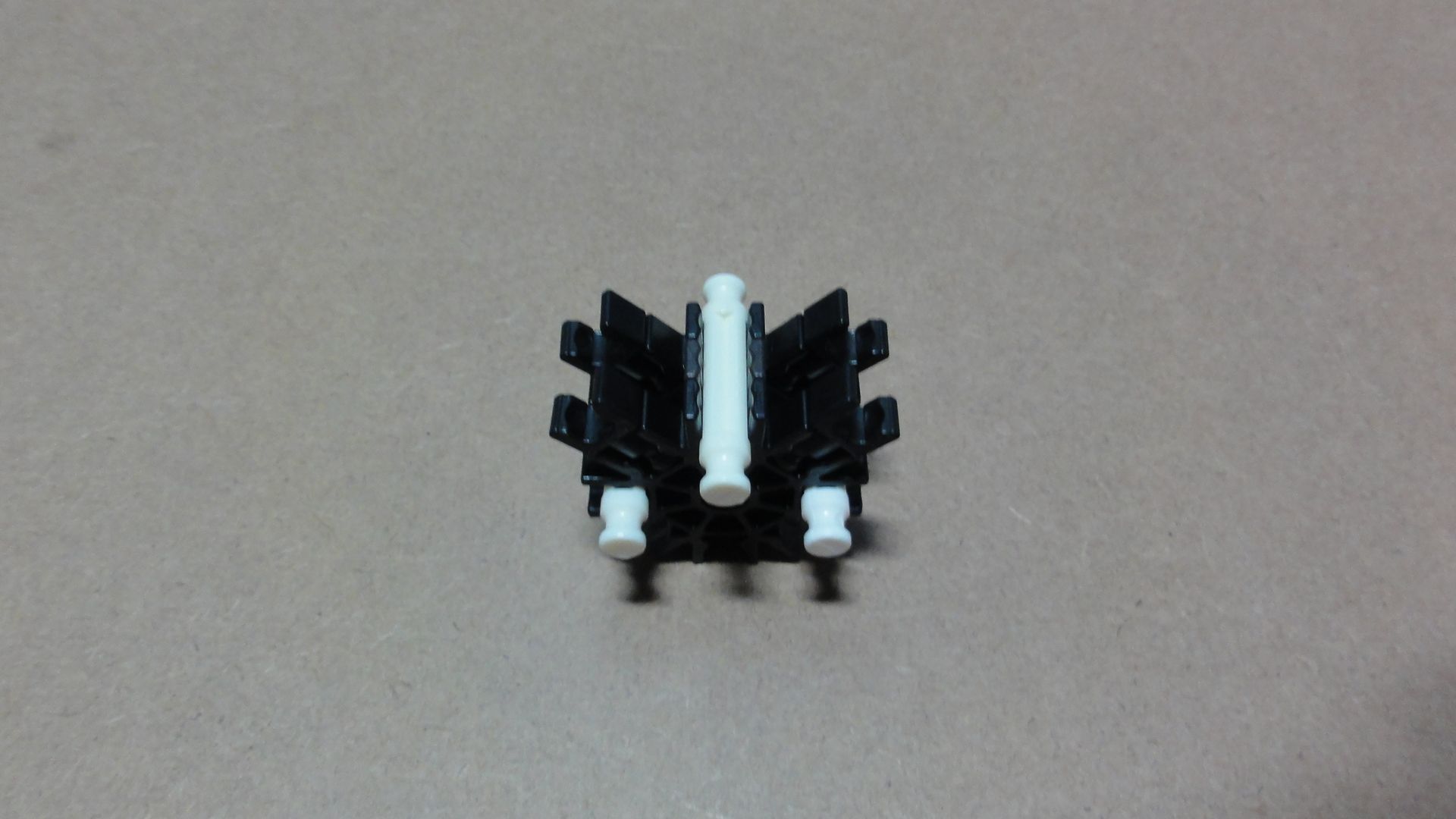 DSC08528.JPG