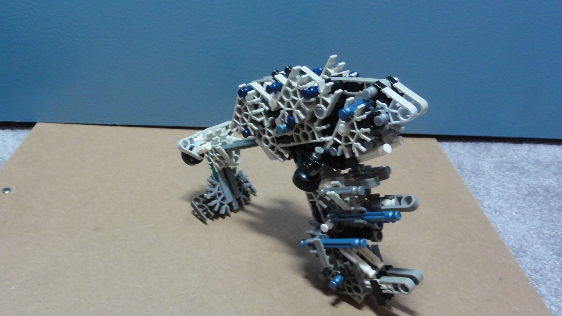 DSC08556.JPG