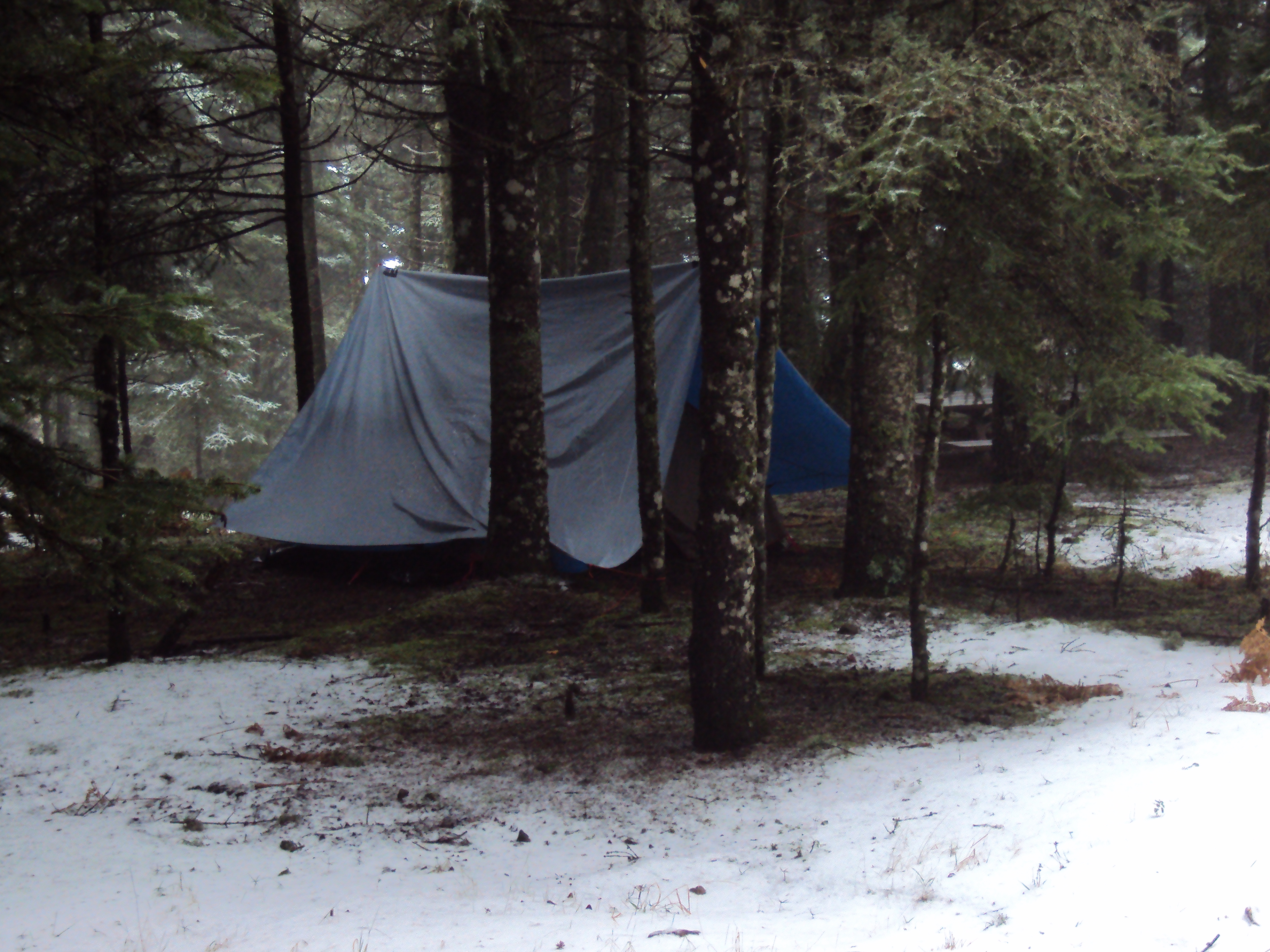 DSC08903.JPG