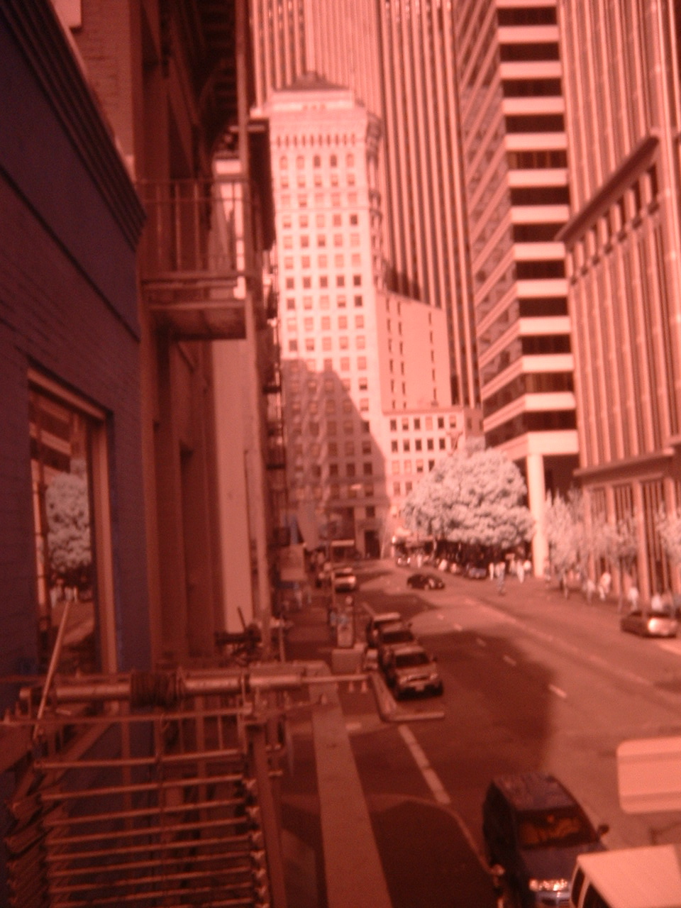 DSCF0003.JPG