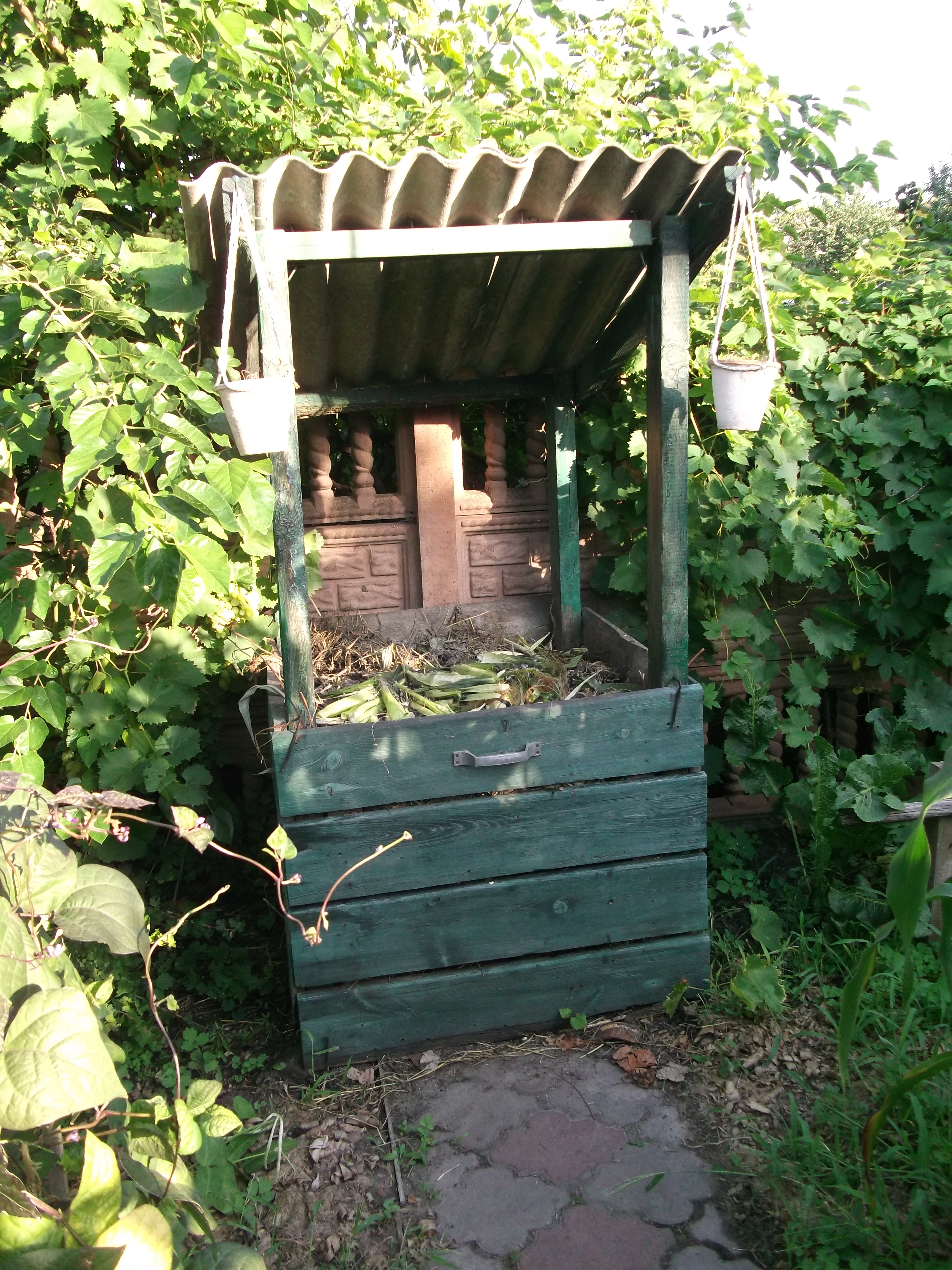 DSCF0233.JPG