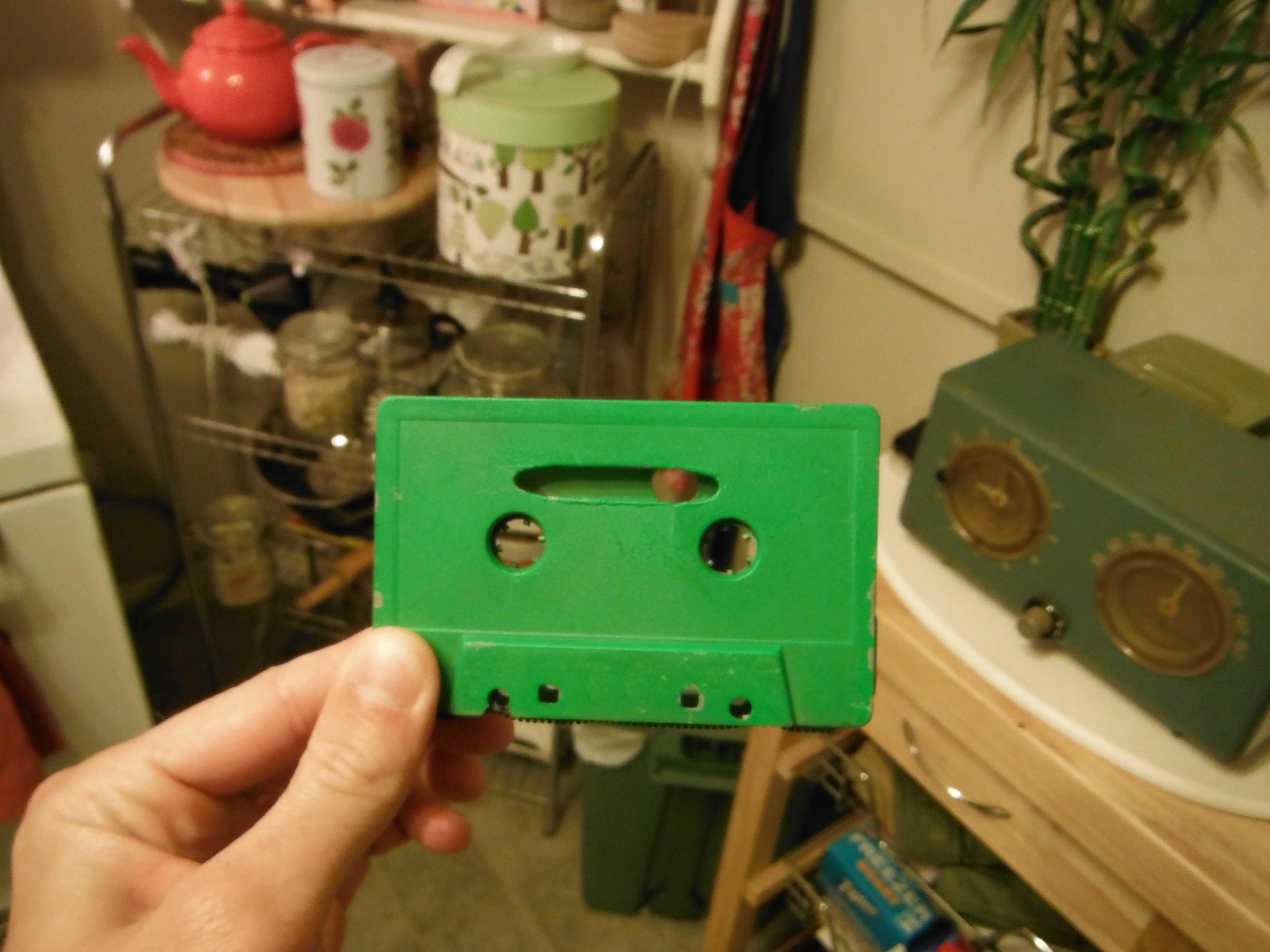 DSCF0788.JPG