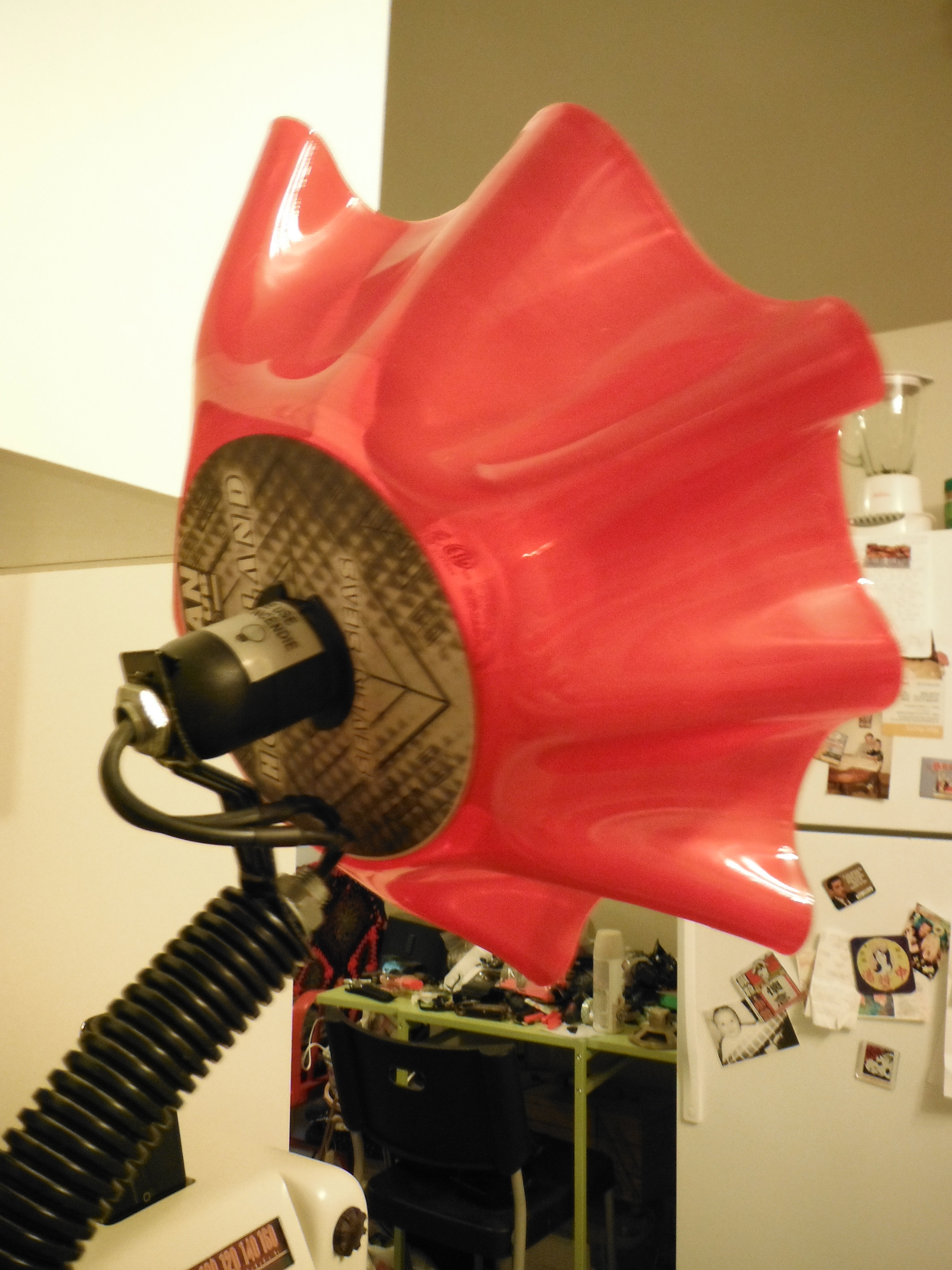 DSCF0812.JPG