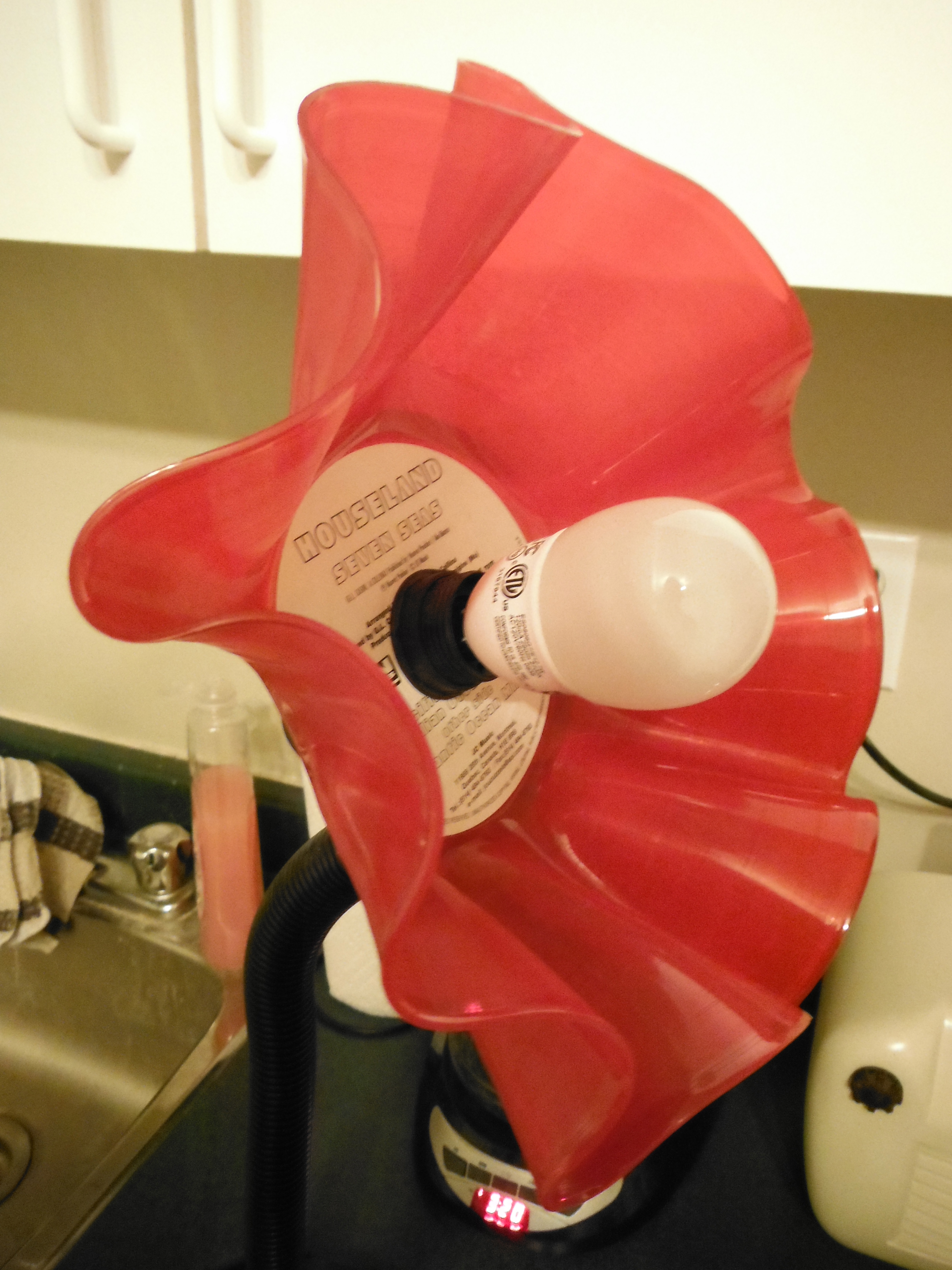 DSCF0814.JPG