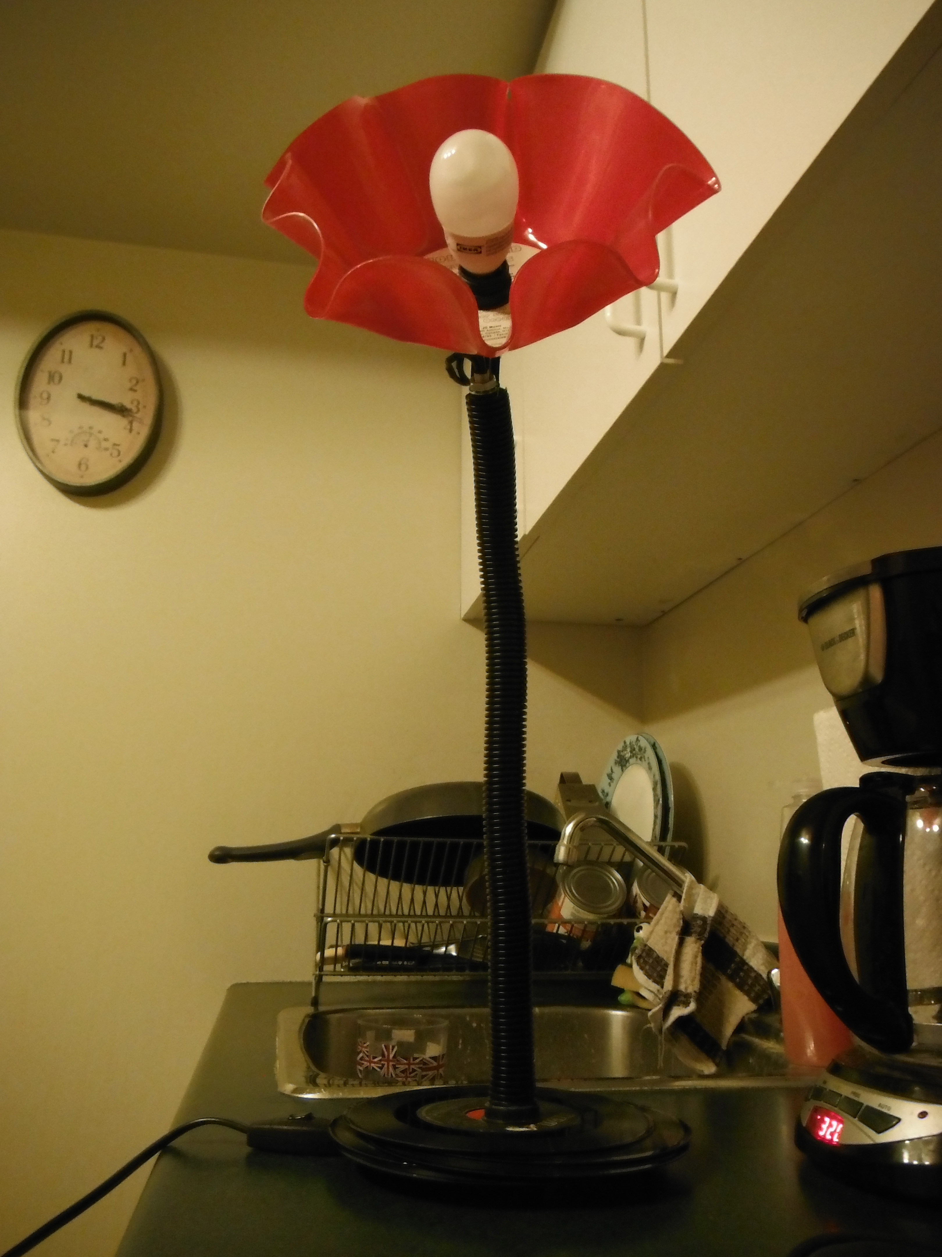 DSCF0815.JPG