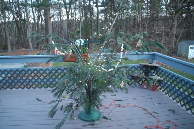 DSCF0832.JPG