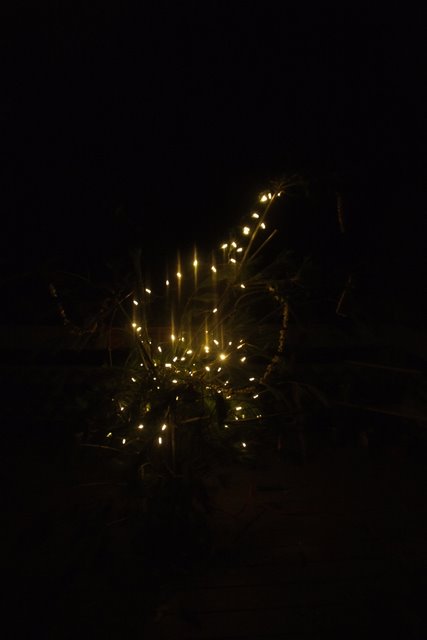 DSCF0846.JPG